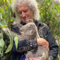 Брайан Мэй дал концерт для коалы