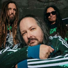 Фаната Korn выгнали с концерта за рукоблудие