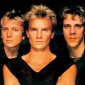 The Police завели себе TikTok